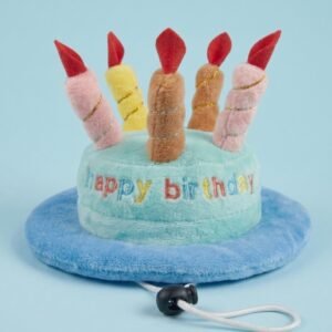 Gorro de Cumpleaños Torta con Velas